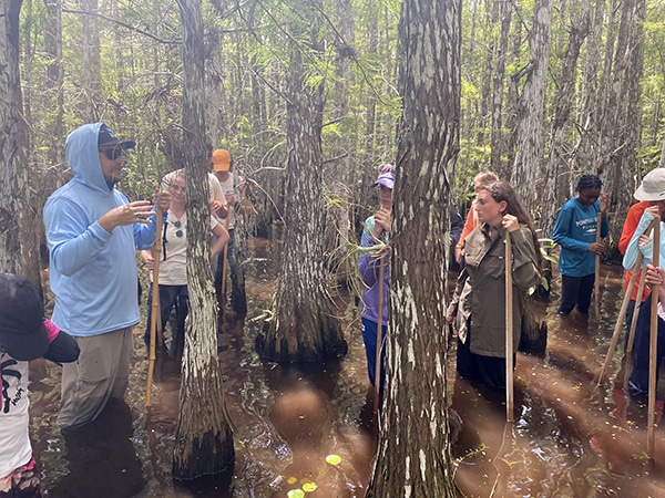 slough slog in the Everglades
