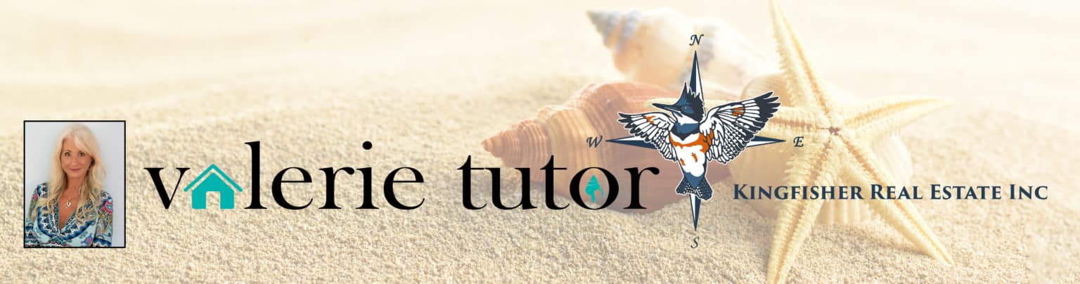 Valerie tutor logo