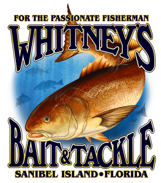 whitneys bait and tackle