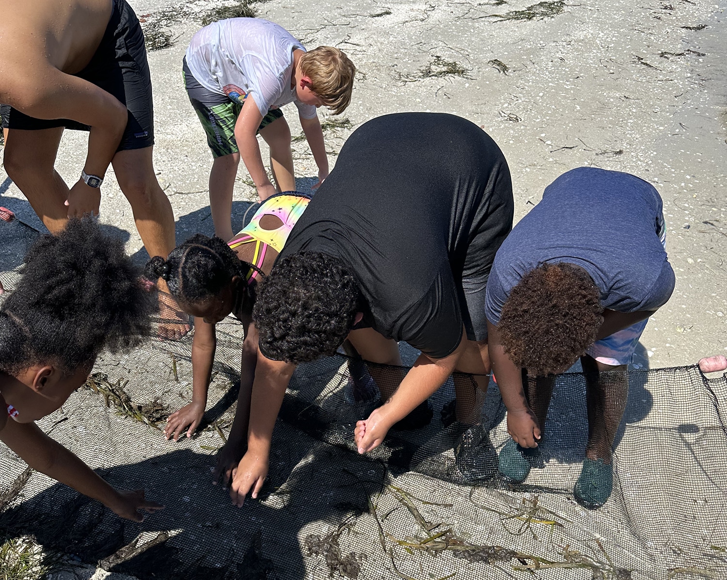 a chance to sea sanibel sea school