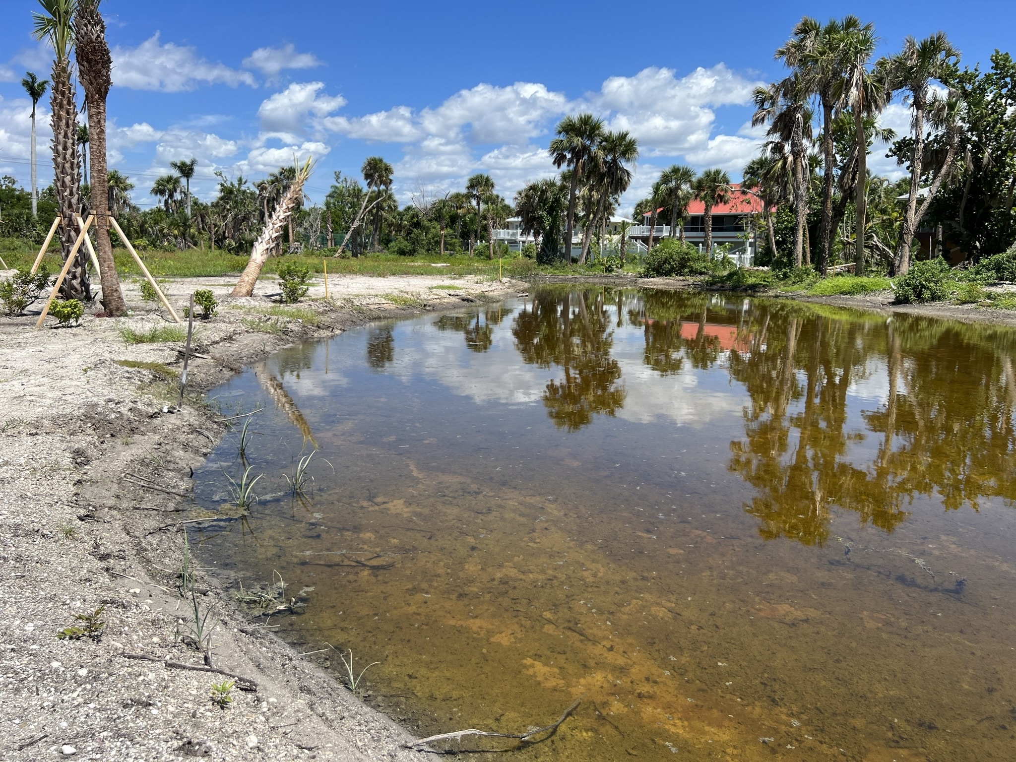 temporary wetlands puschel preserve