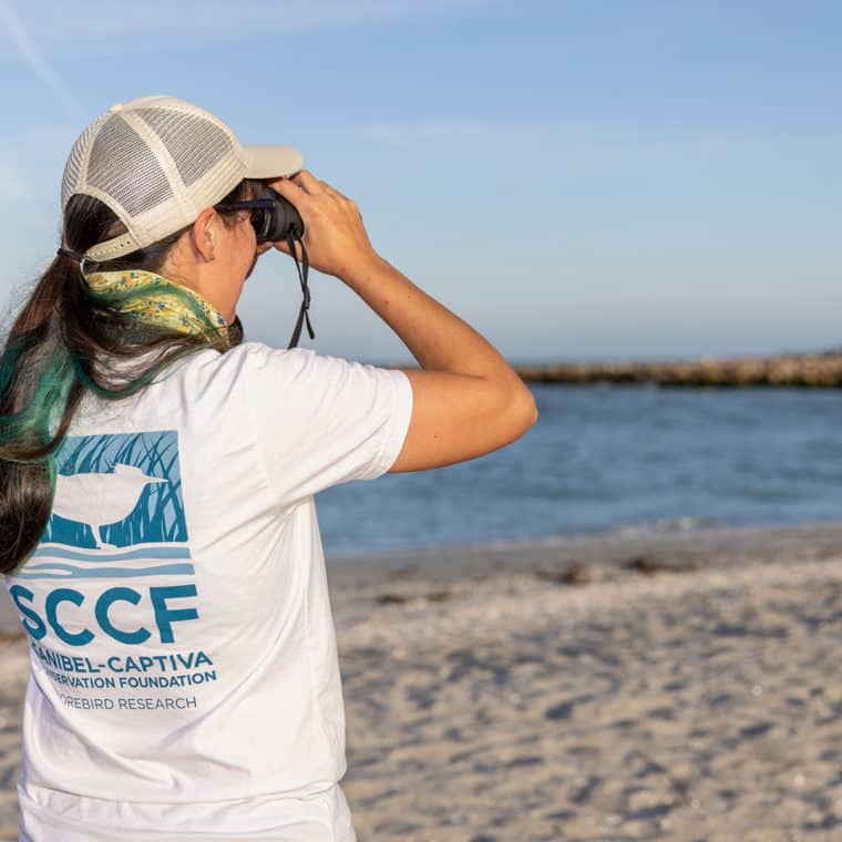 bird watching with binoculars on sanibel