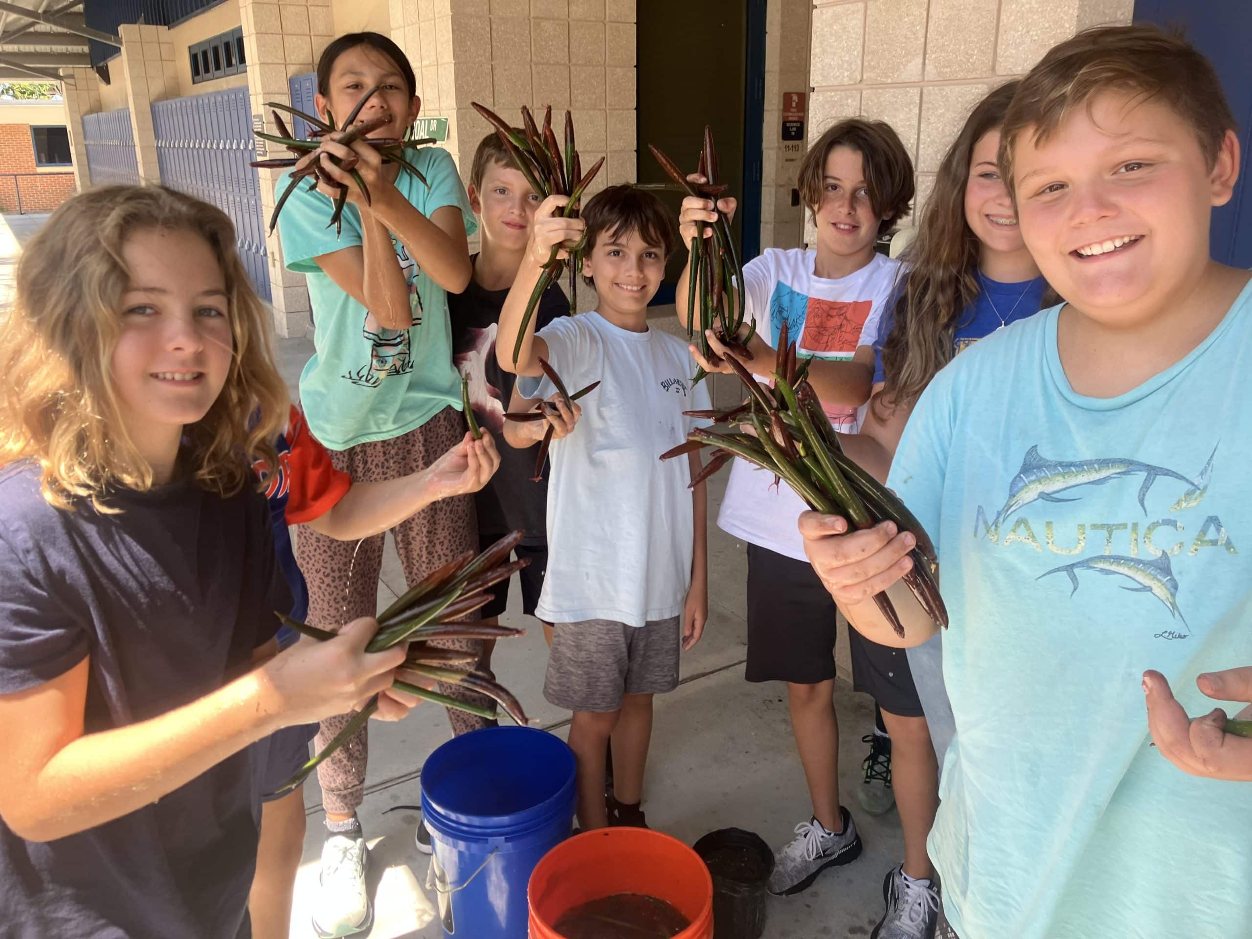 children holding mangroves