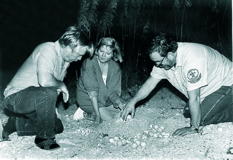 3 people conducting inventory of sea turtle nest on Sanibel. Black and white old photo