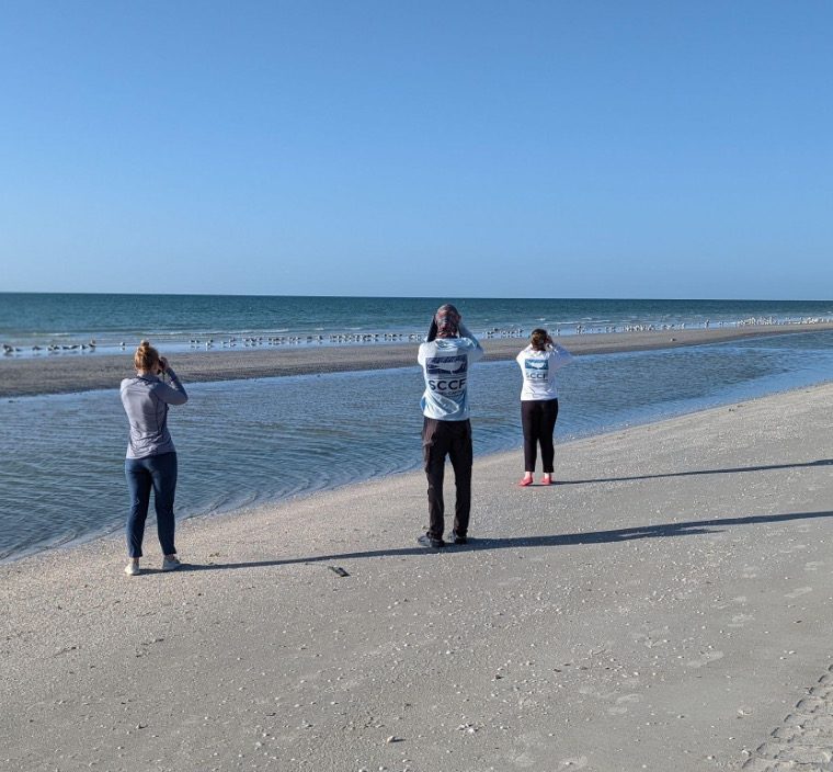 bird walk on Sanibel