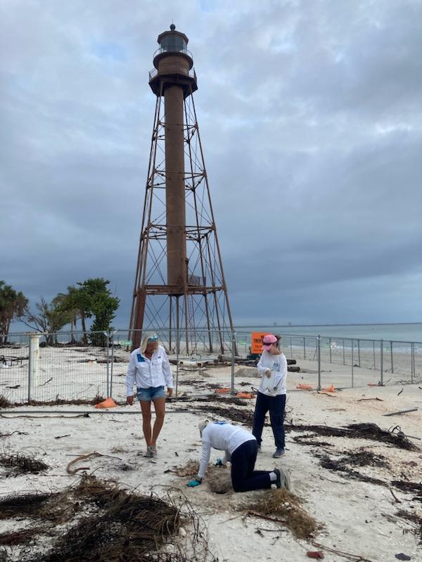 sea turtle nest sanibel lighthouse