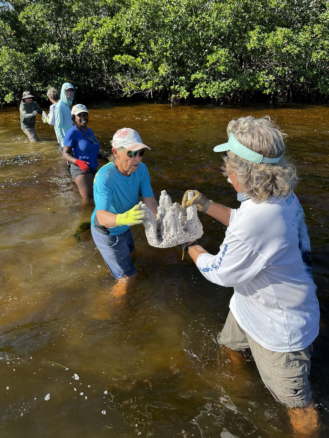 restoring oyster reefs