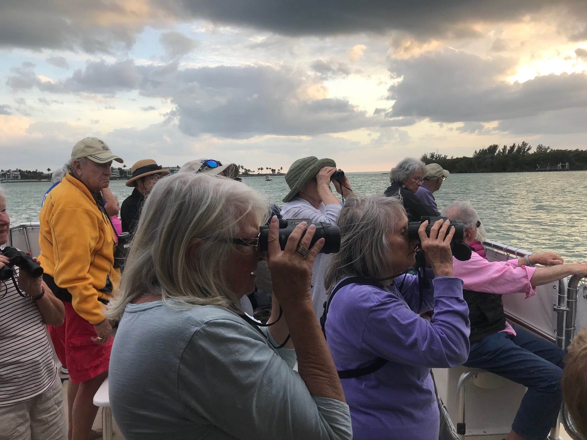 sunset birding cruise