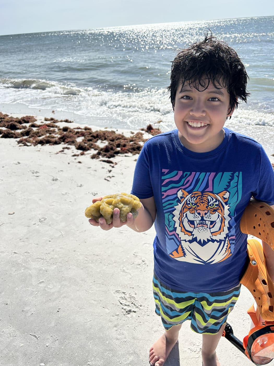 student holding sponge on beach