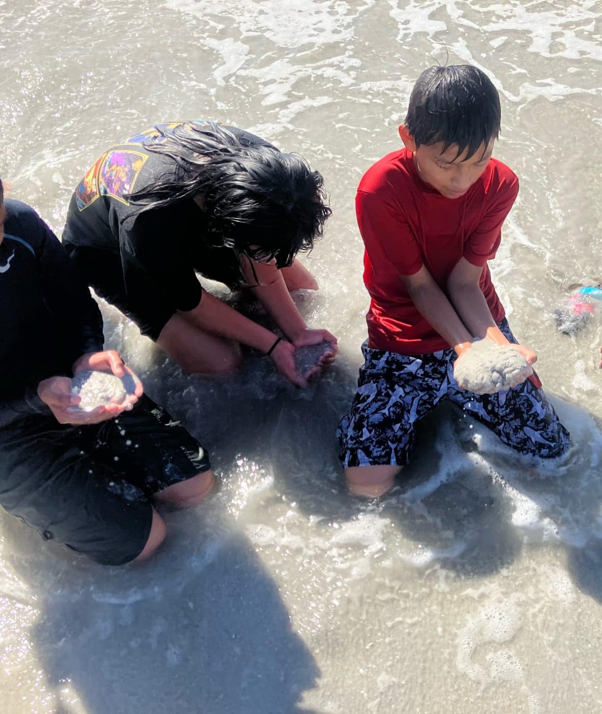 students exploring on beach