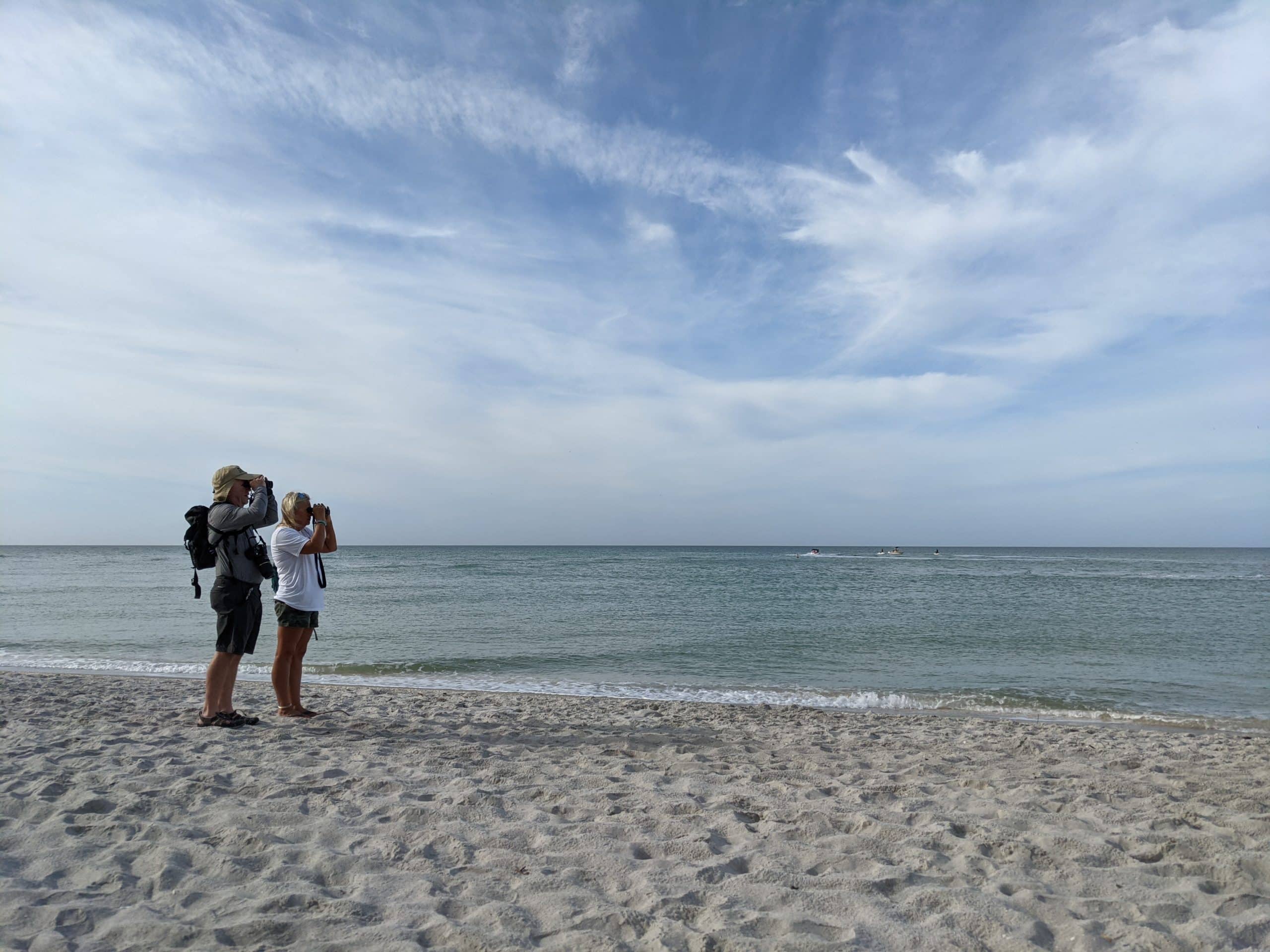 two people birding on the beach