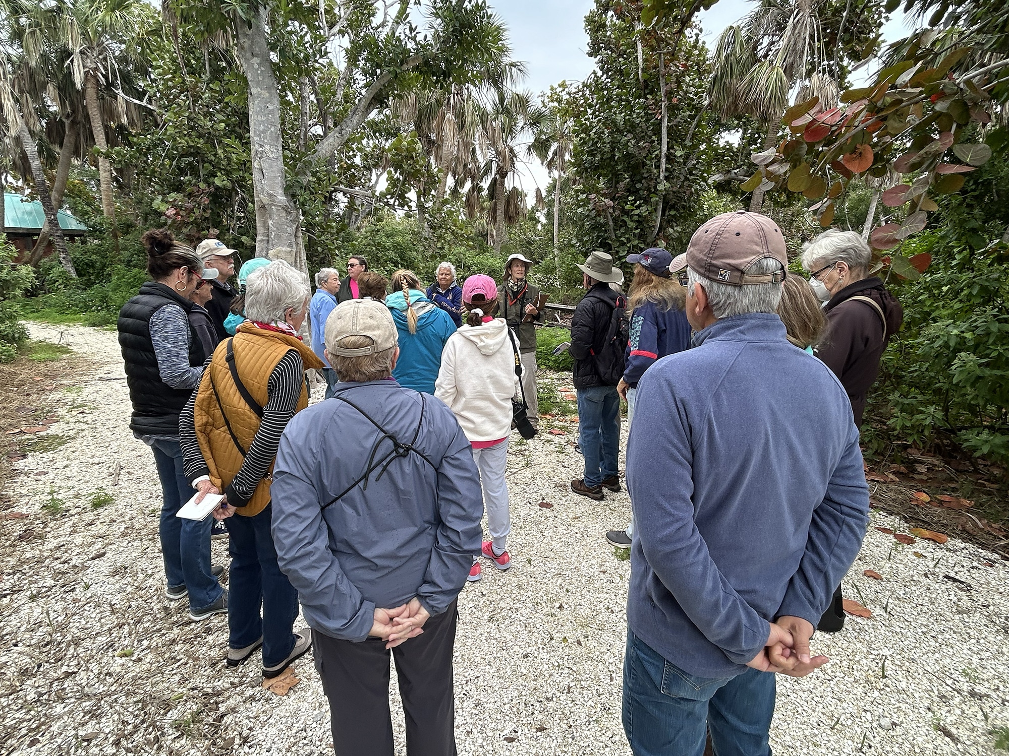 group of people looking at plants outdoors
