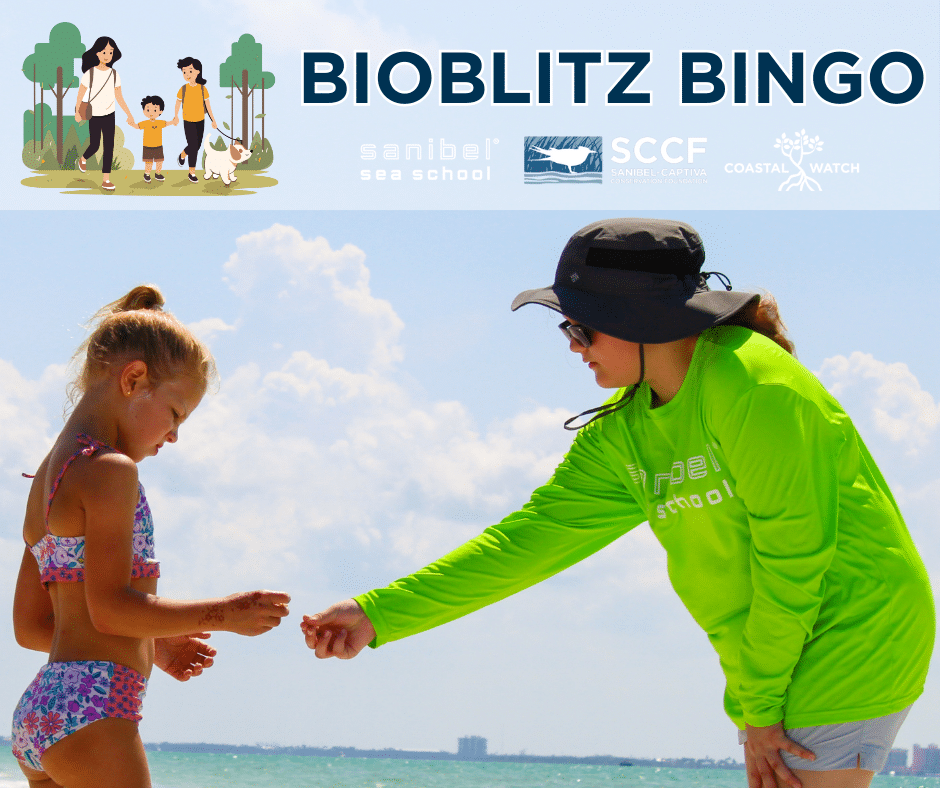image of text 'bioblitz bingo'
