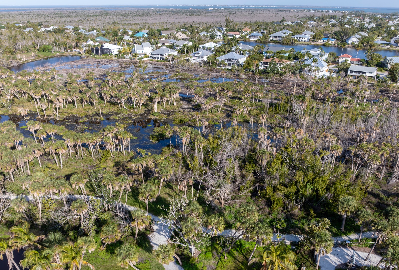 Brackish Habitat In BHP Crop 1600