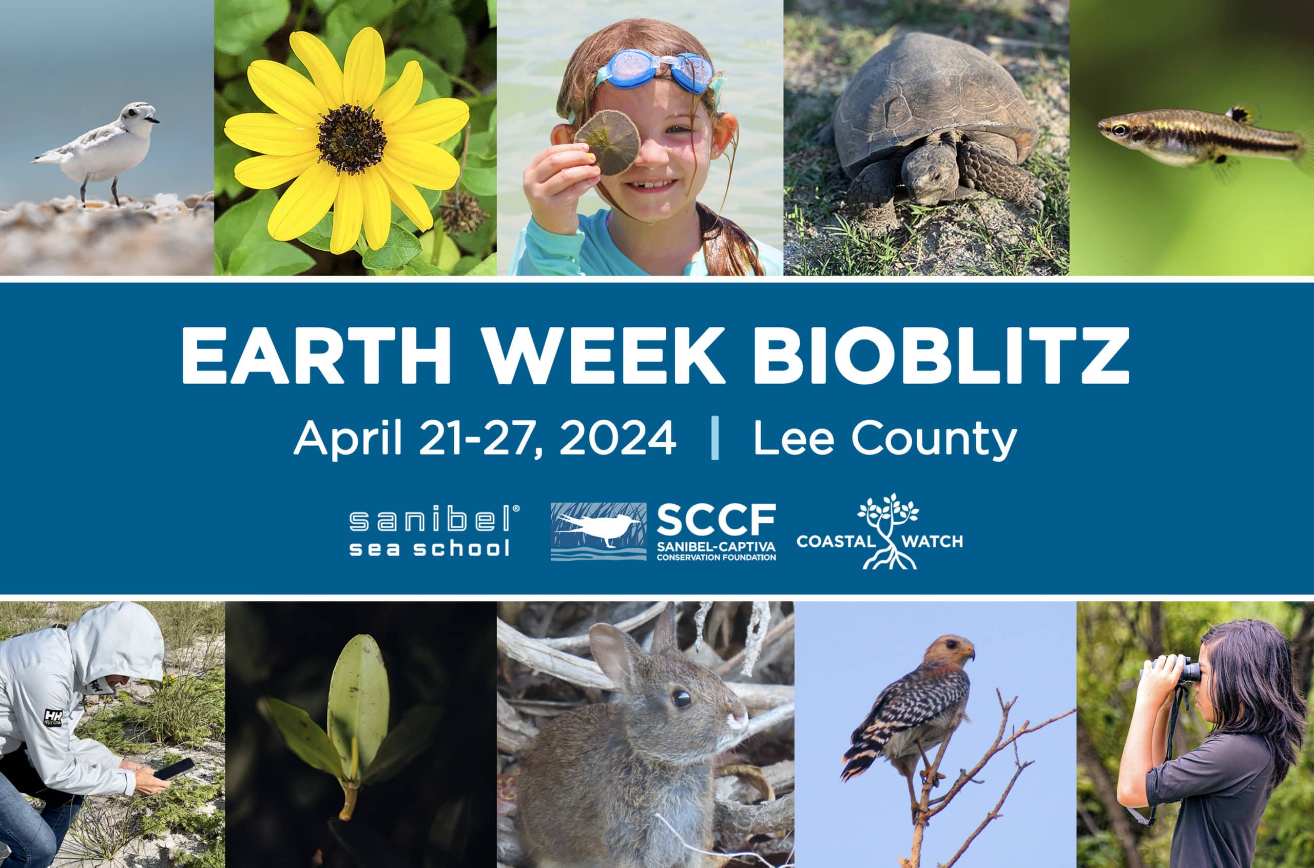 images of nature with text 'earth week bioblitz'