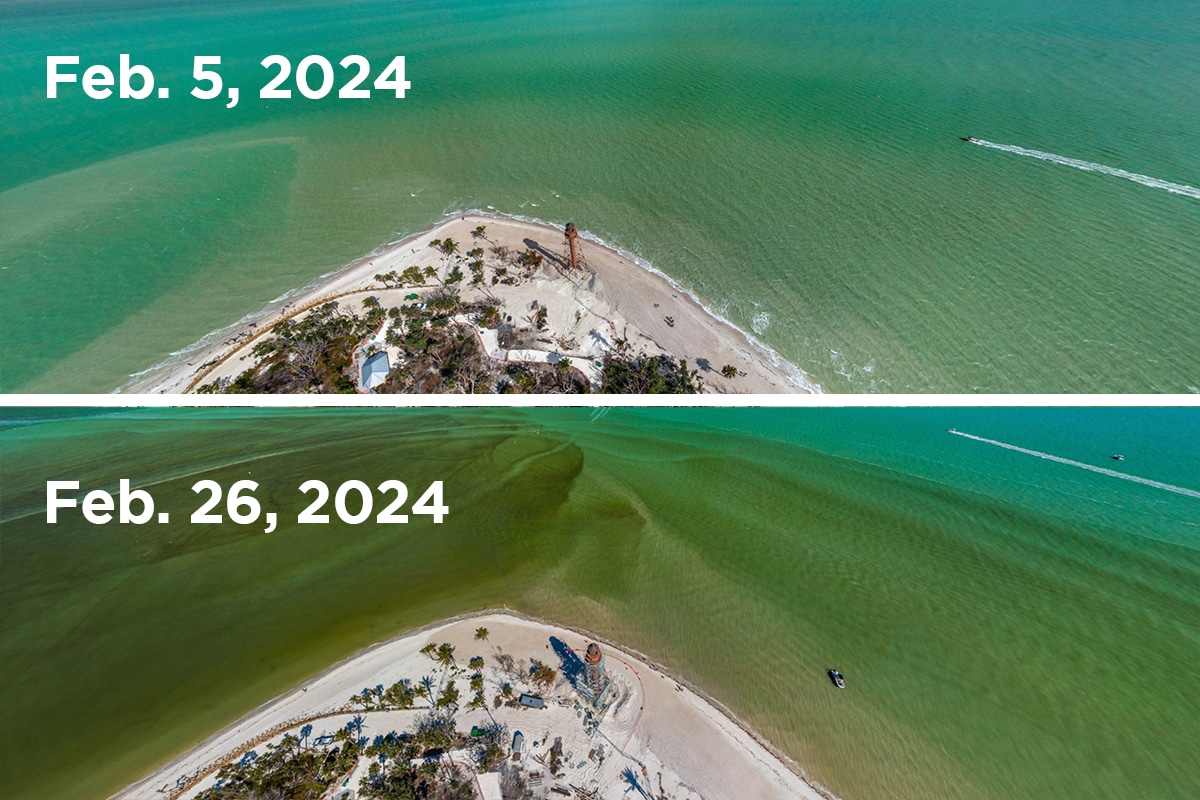 lighthouse comparison