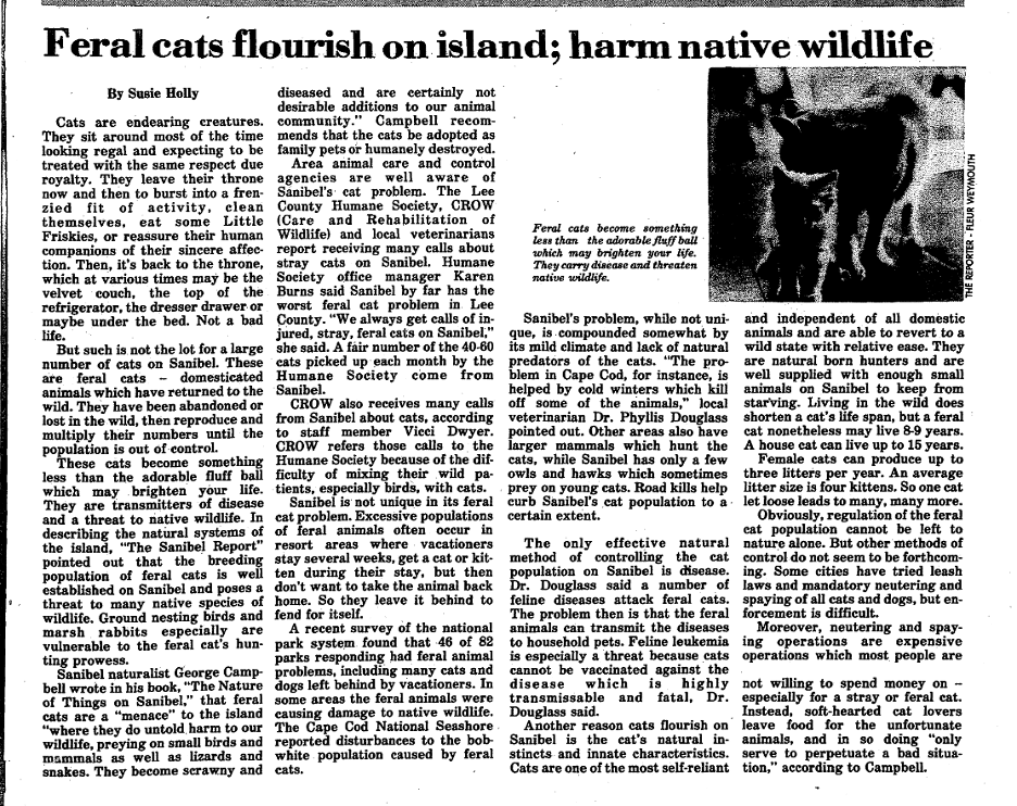 image of old newspaper article describing feral cats on sanibel. from 1979