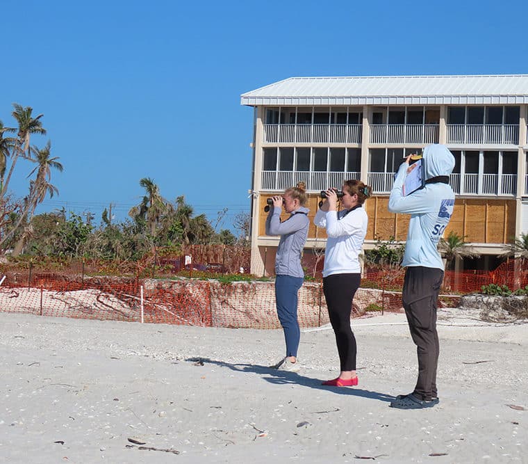 construction beach monitoring wildlife