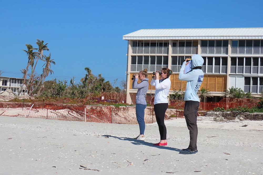 construction beach monitoring wildlife