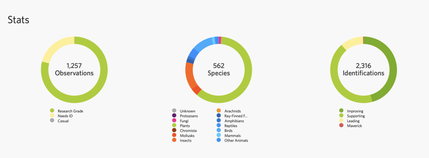 graph showing pie charts of number of observations, species, and identifications