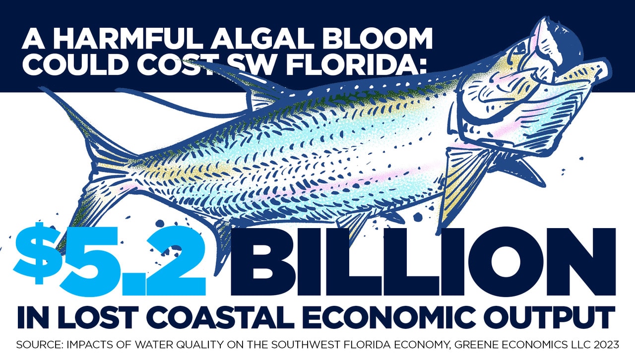 water quality economic study