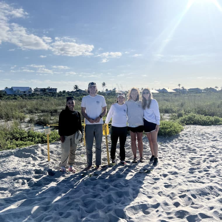 image of people next to sea turtle leatherback nest on sanibel