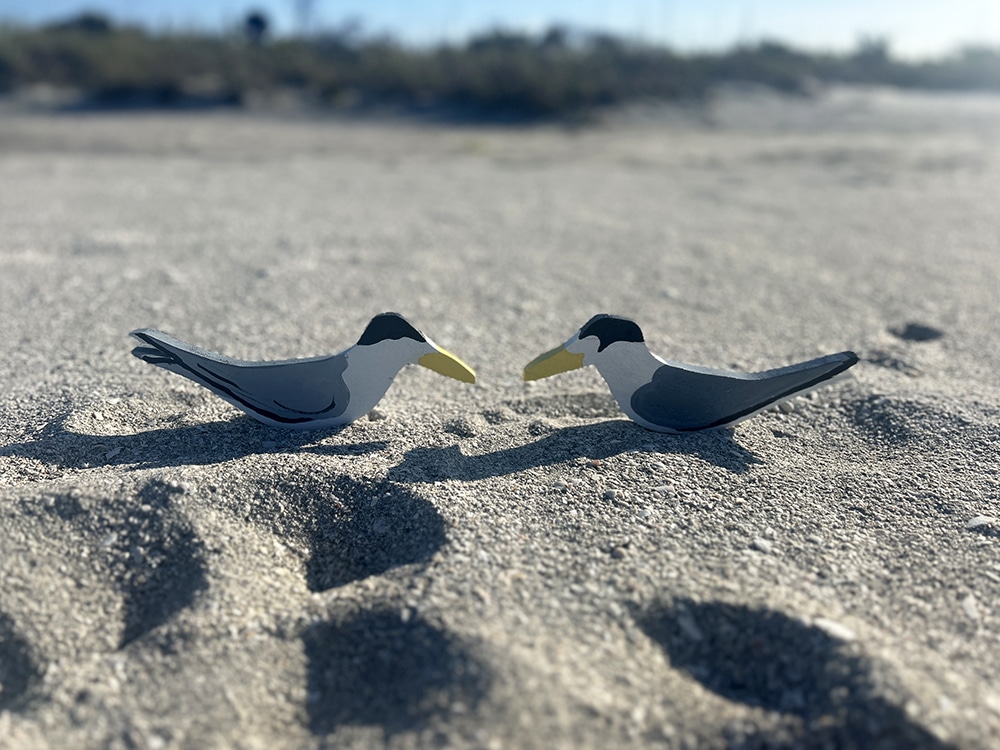 least tern decoys