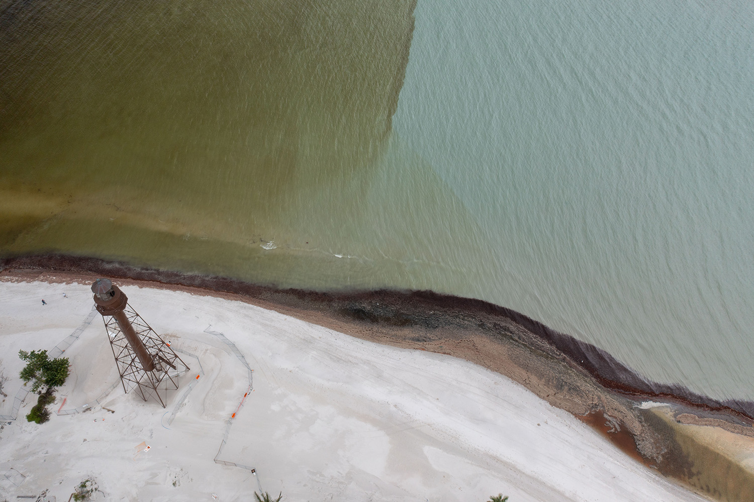 Lighthouse Aug 7 2024