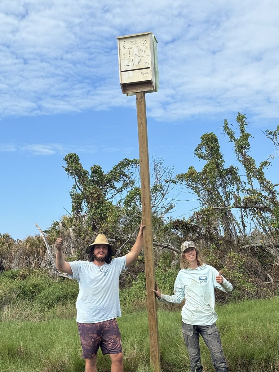 two people stand outdoors next to a bat house