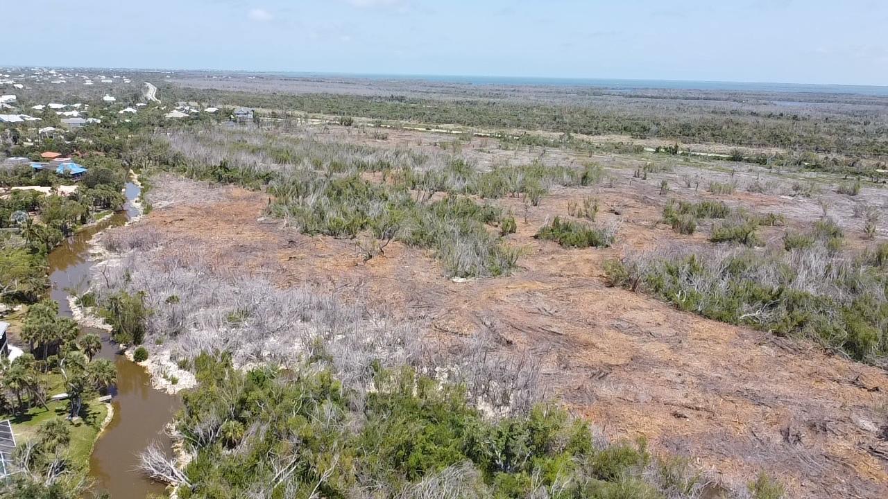 Northwest West Sanibel River Preserve April 2024