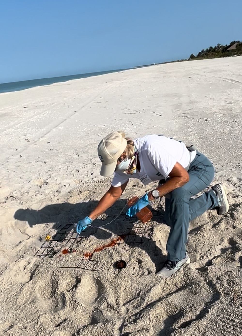 person applying pepper to nest