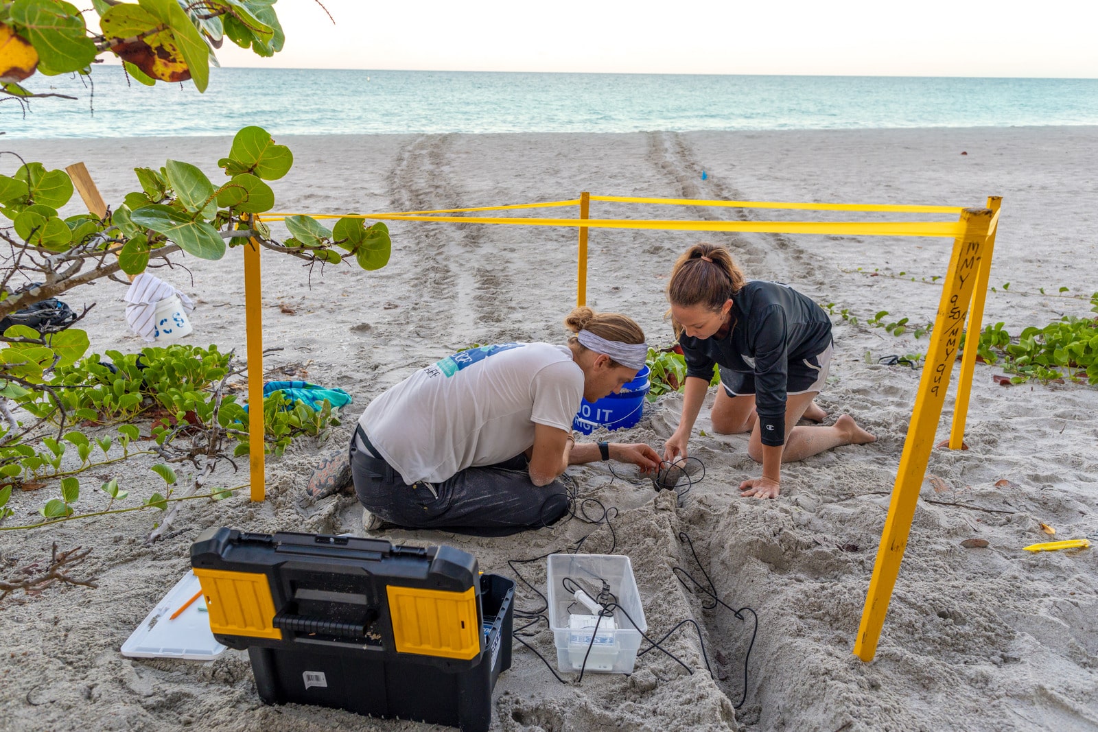 Installing Loggers 1600