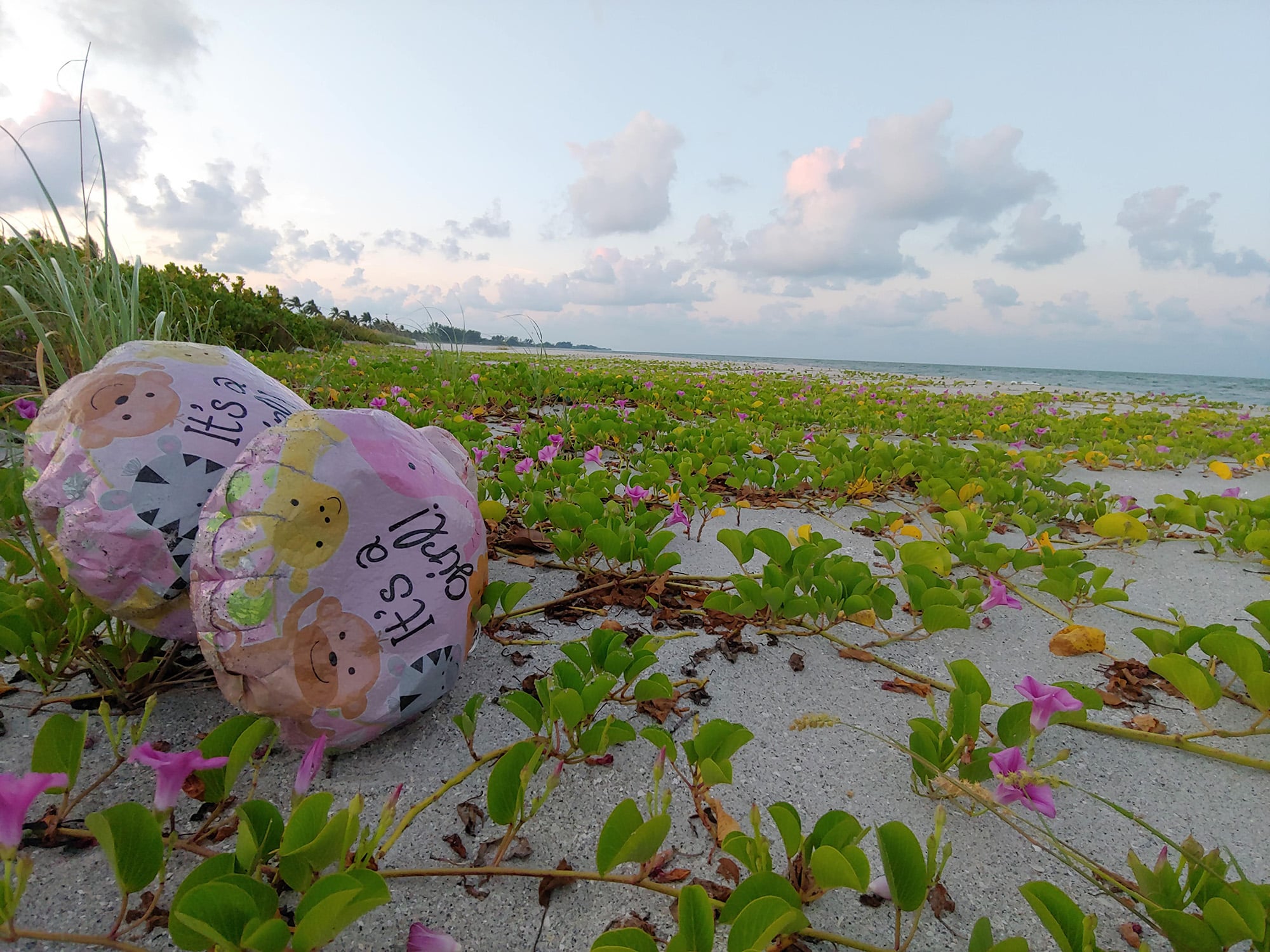 balloons on beach