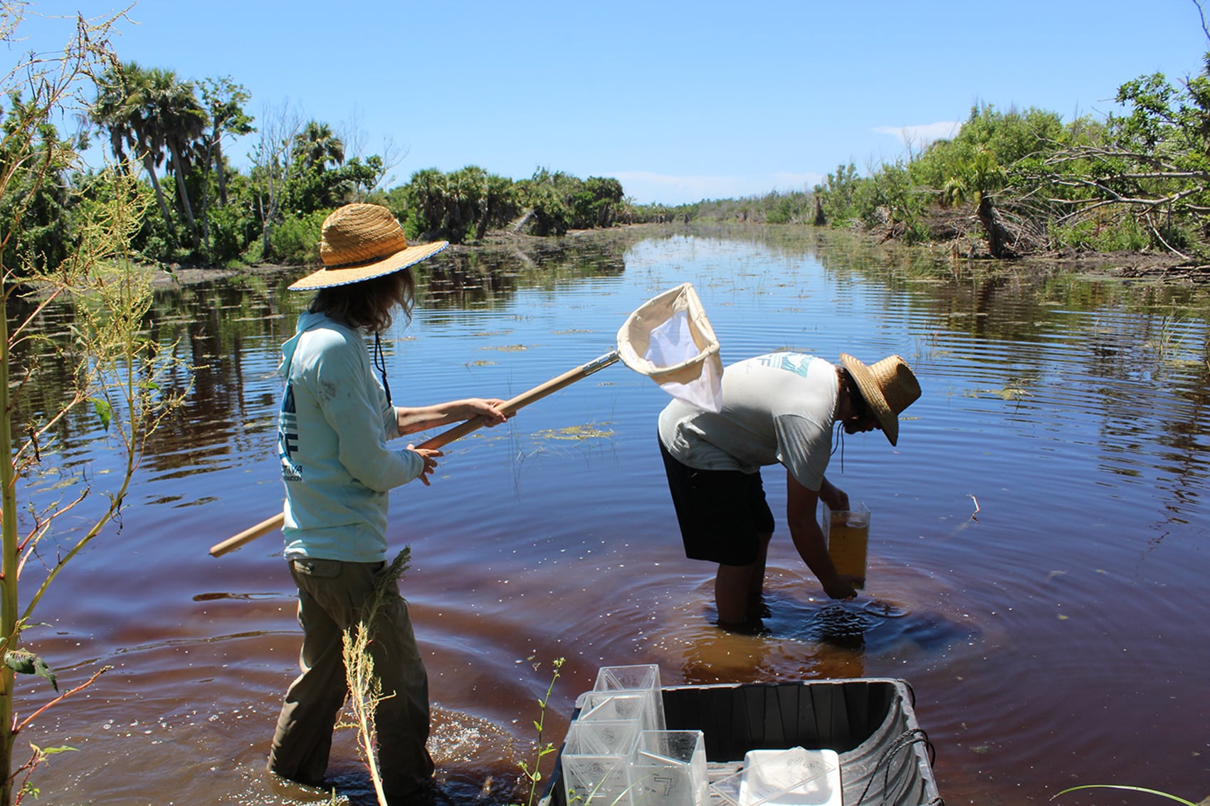aquatic fish sampling