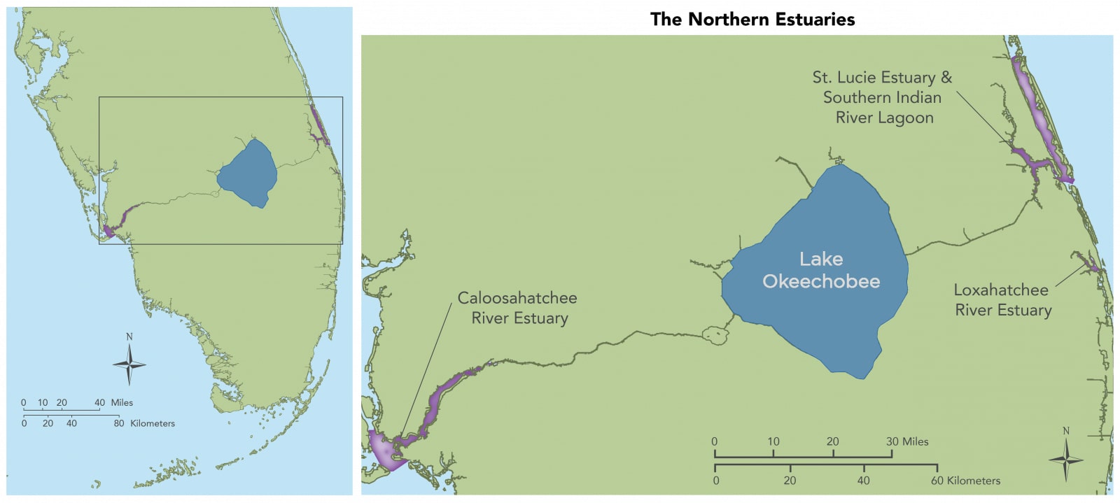 Image from the 2012-17 Everglades ecohealth report card.