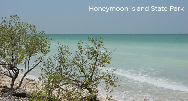 honeymoon island state park