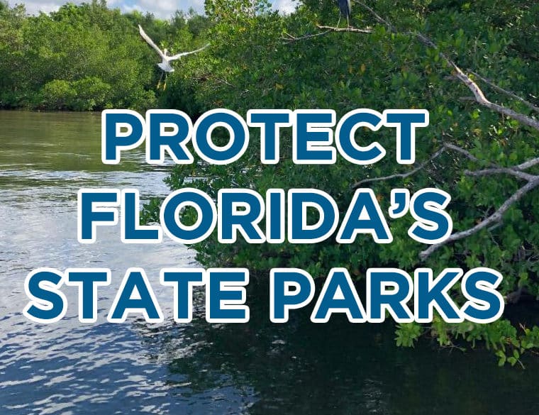 protect Florida's state parks written on top of image of mangroves and bird