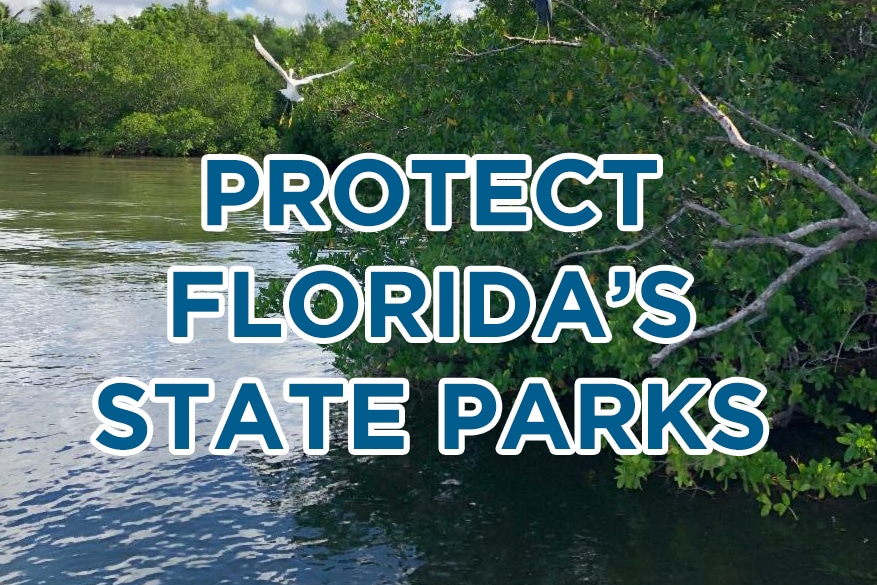 protect Florida's state parks written on top of image of mangroves and bird