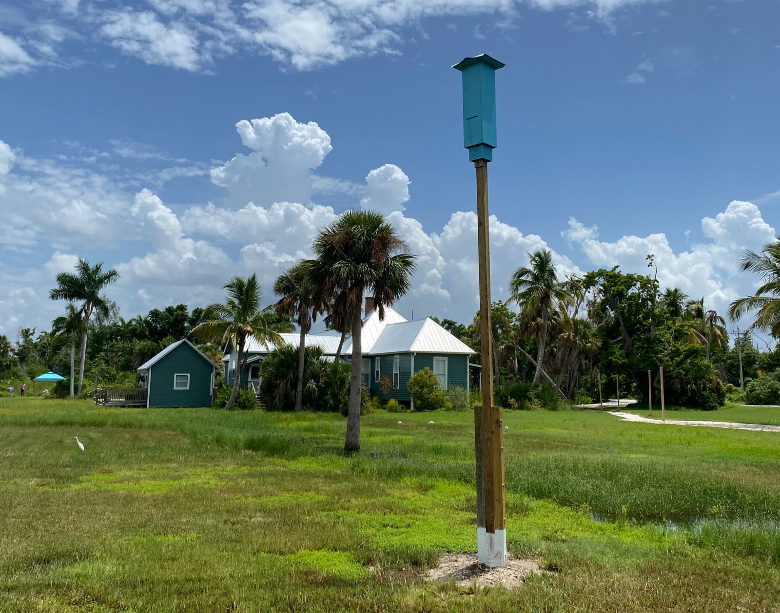 Final Bat House Crop 1600