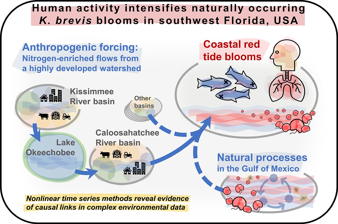 RED TIDE STUDY
