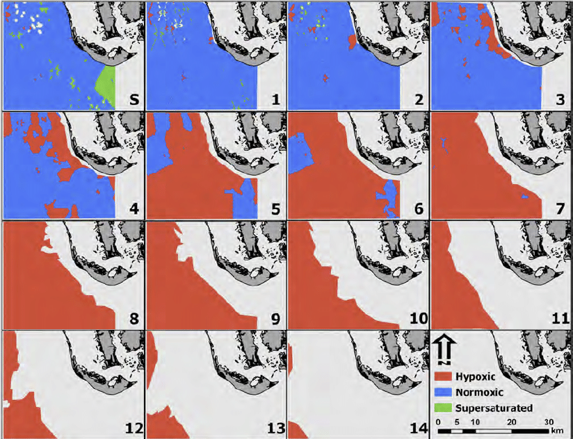 Screen Shot 2024 09 17 At 10.16.03 AM