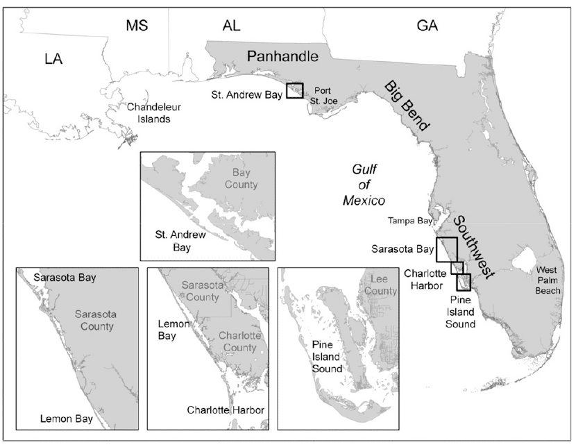 Screen Shot 2024 09 17 At 2.16.46 PM