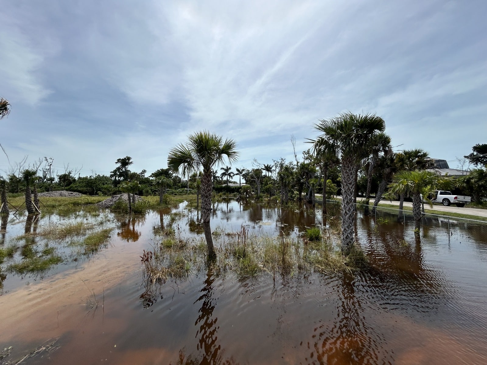 Puschel Preserve 9.27.24 1600