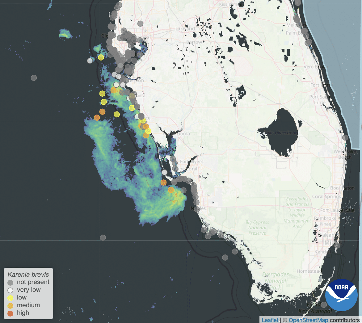 Red Tide Satellite Imagery 10.30.24
