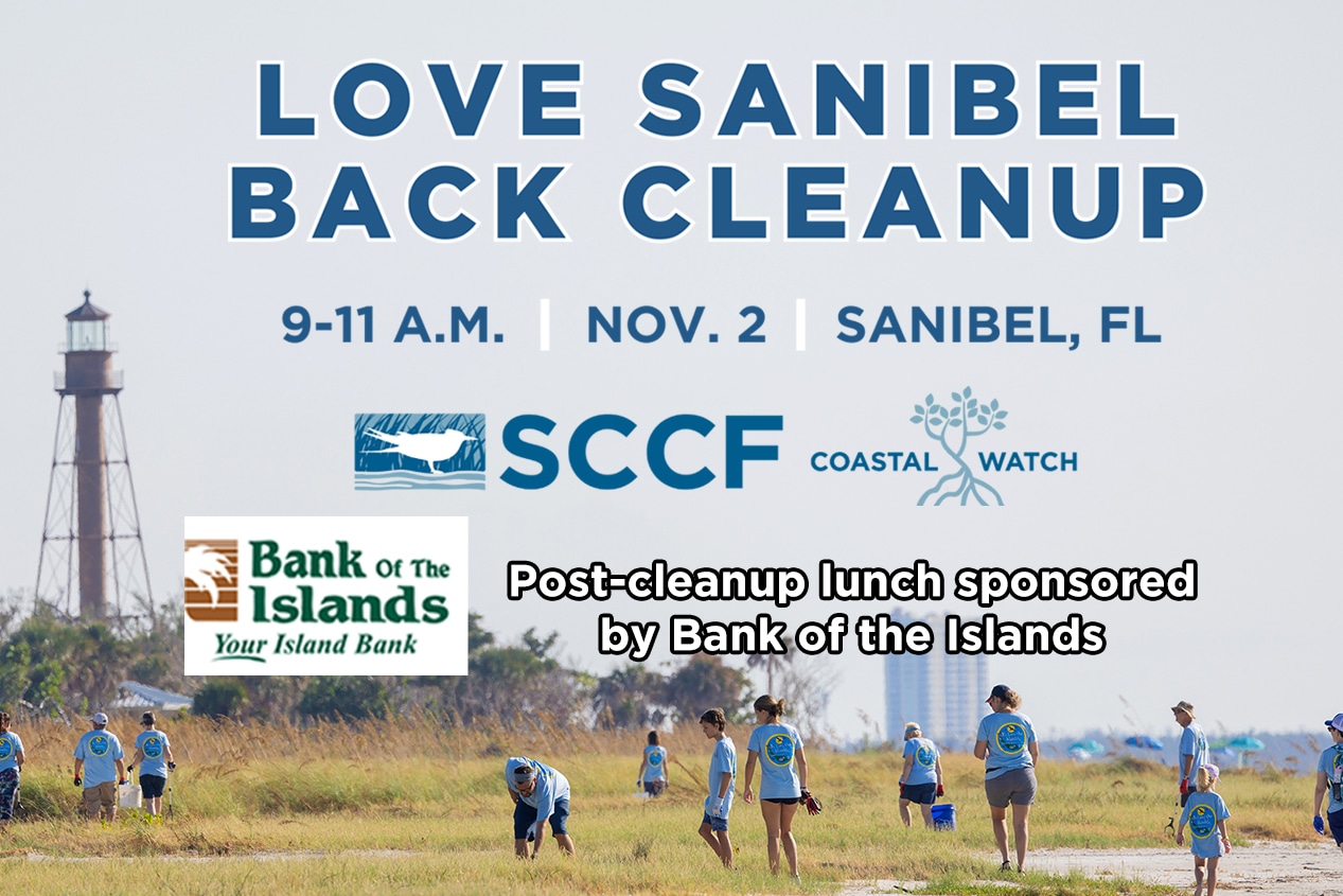 Love Sanibel Back Cleanup 600x400 Final