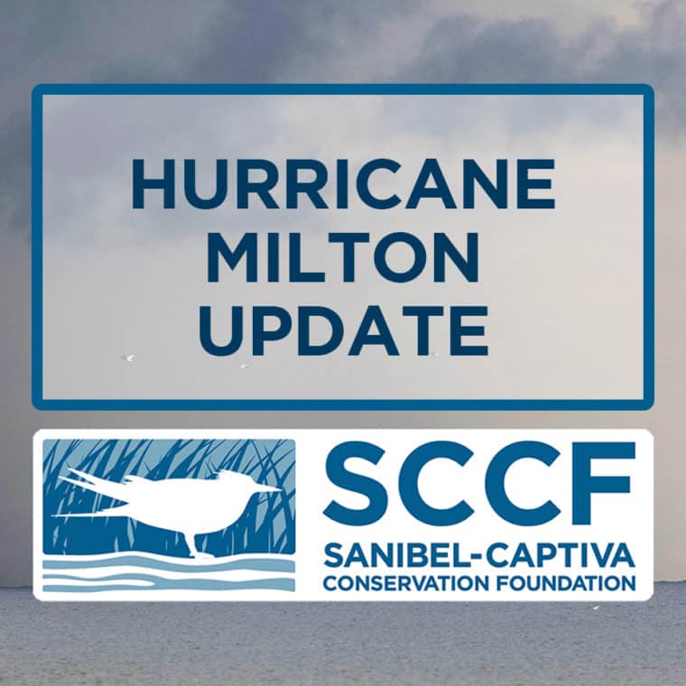 hurricane milton update