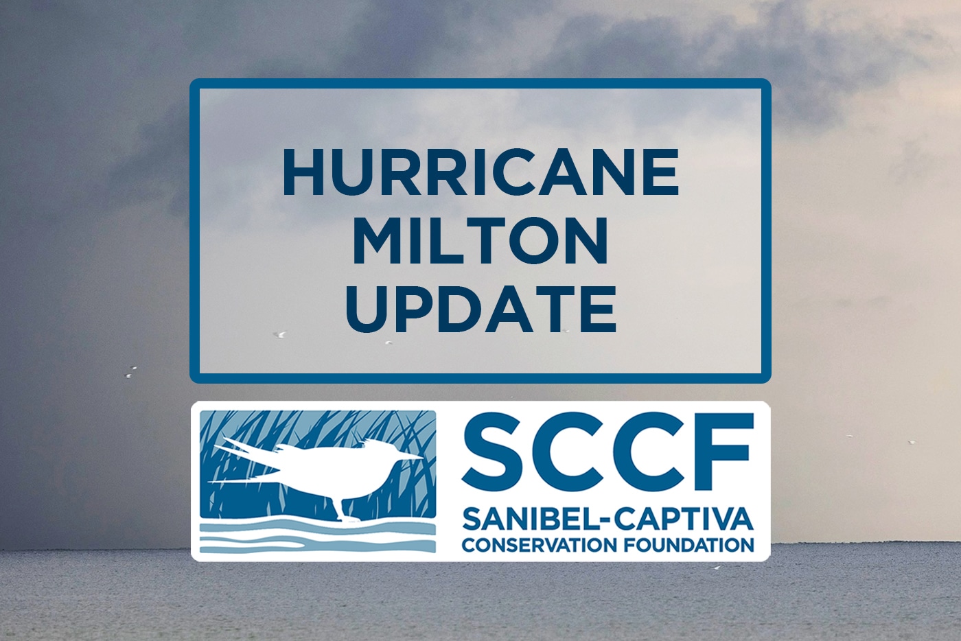 hurricane milton update