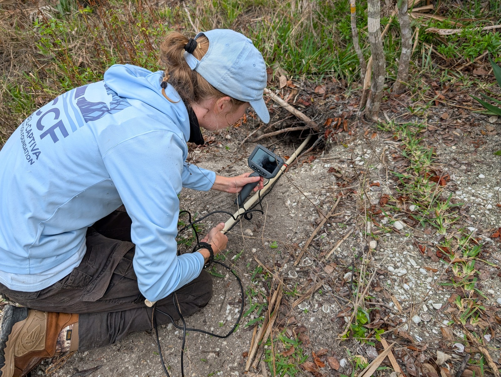 Scoping Gopher Burrow 1600