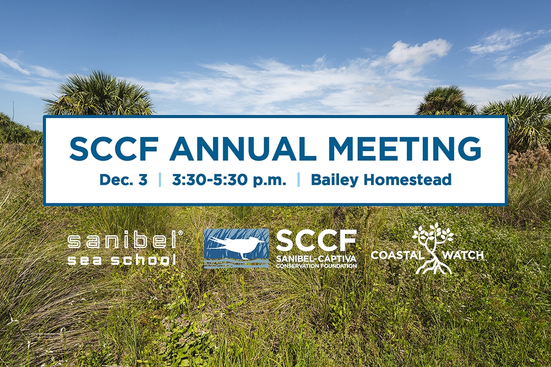 sccf annual meeting 2024 graphic