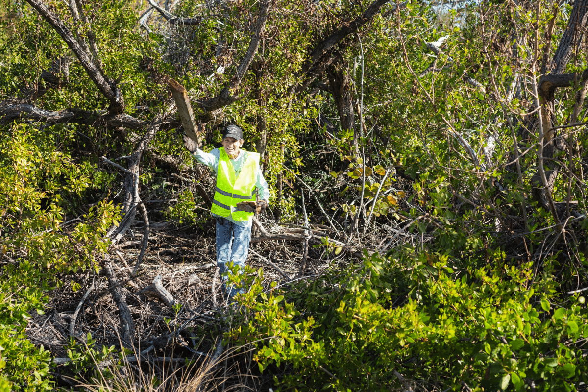 Sanibel's 50th Anniversary Roadside Cleanup